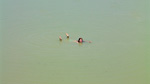 Соленое озеро на Арабатской стрелке - лежа на пузырьках со дна