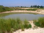 Вид с соленого озера на базу отдыха Десна